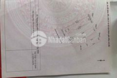 Cần bán nhà 3 tầng 100 bùi vịnh quận cẩm lệ