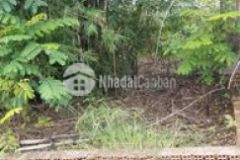 Kẹt bán nhanh lô đất lọt khe 50m giá 250tr vla lh