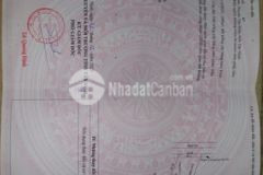 Đất mt t lo793 x thạnh bình h tân biên tây ninh