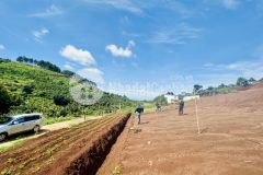 Chính chủ bán đất lâm đồng giá tốt, 448m2 khu trung tâm thị trấn nam ban, sổ riêng thổ cư