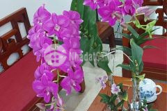 Cần bán nhà mặt phố gia thụy ô tô vỉa hè kinh doanh sầm uất mt4.6m 6t giá 10 tỷ