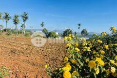 Bán đất nghỉ dưỡng lâm hà view hồ phúc thọ