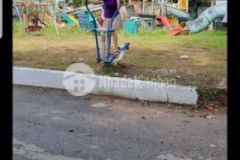 Đất nhà thiếu nhi bình chánh sổ hồng riêng