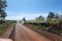 Bán 3 5 mẫu bám 170 mét mặt đường nhựa có nhà điện