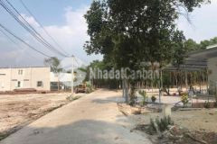 Đất lộc an 5 5x17m đt769 cạnh d2d cắt lỗ 150tr