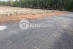 Đất gia đình 1000 m2 shr hỗ trợ lên thổ có nh