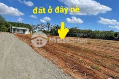 Bán đất bình phước 1010 m2 giá 400 tr shr nh htr