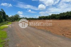 Lô đất gđình 500 m2 bán 430 tr có 100 m2 tc shr