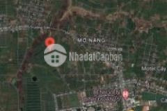 Bán đất 1 sào 6 giá rẻ hẻm trần văn ơn