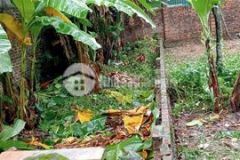 Đất cổ loa đông anh đường 7m giá chỉ hơn 2 tỷ