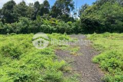 Bán đất nhà vườn siêu rẻ tại xã hoà khánh bmt