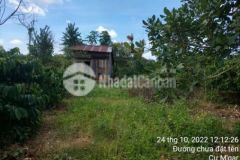 Bán đất nông nghiệp có suối