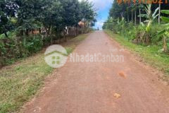 Thanh lý bất động sản giá tốt