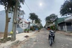 Chính chủ cần bán nền sao mai giá rẻ