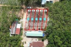 Đất hàng hiếm tây ninh giá 480tr 5x31 full thổ