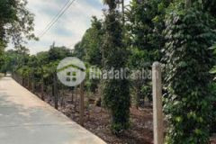 Đất tại xã kim long châu đức bà rịa vũng tàu