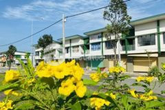 Shophouse hoàn thiện sẵn liền kề đh việt đức