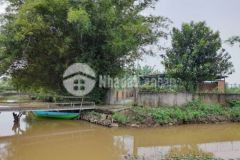 Vợ chồng già tôi bán 11 500mv đất dưỡng lão