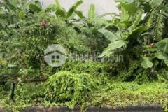 Bán đất biệt thự văn minh đường mai chí thọ q 2