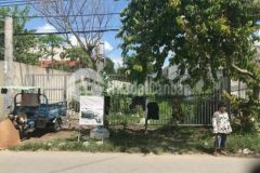 Chuyển nhượng đất thổ vườn thông tây hội củ chi