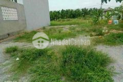 Bán đất shr 8x18 bình mỹ củ chi