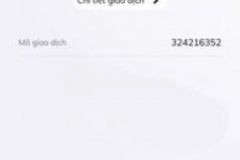 Nhà mặt tiền hoàng việt