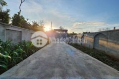 Siêu phẩm 1 6 sào thổ cư và hiếm ngaythái phúc