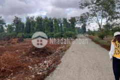 Đất hoà đông giá tốt