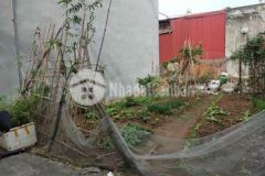 Đất đẹp mặt tiền rộng giá phù hợp nhu cầu ở