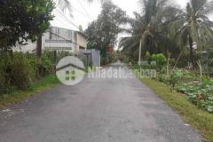 1công vườn ấp 2 tam hiệp châu thành tiền giang