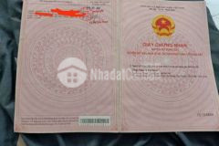 Bán lô đất 1600 mét vuông tân tập long an