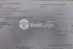 Cần bán 550m2 đất thổ cư gần biển đồ sơn, hải phòng. 20,x triệum2