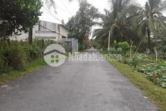 Bán 1công vườn ấp 2,tam hiệp,châu thành,tiền giang