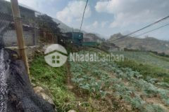 Đất nền sapa,gần suối view thung lũng 2 mặt tiền, giá f0 cho nhà đầu tư