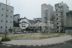 Đất đấu giá thanh liệt ngõ 570 kim giang đối diện trường mn thanh liệt 65m2 chỉ 10.18 tỷ.