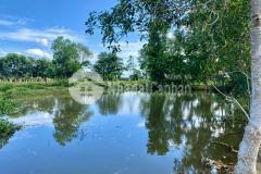 Bán lô đất có vườn điều và hồ rộng 300m2, phù hợp trồng rau, nuôi cá, farmstay, sổ riêng.