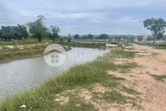 Bán đất trồng cây lâu năm tại hàm thuận bắc có ao, trên đất trồng sẵn cây điều,đường ô tô vào tận đấ