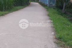 Bán đất gần quốc lộ n2 xã nhơn ninh, tân thạnh long an