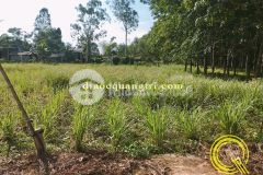 Bán lô đất giá rẻ tại trí tiến, gio sơn