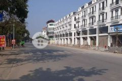 Cần bán shophouse sông hồng mặt phố thành trung, khu 31ha, trâu quỳ, gia lâm, dt 90m2