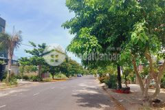 Bán lô biệt thự nguyễn đình hoàn 10m5 khu habour ville 150m2