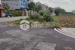 Bán đất đẹp kinh doanh giá rẻ thuận thành