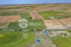 Đất full thổ cư cách biển 30m ở tuy phong, mặt tiền đường bê tông dọc biển giá 1.3 tỷ