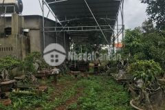 Đất phường đạt hiếu tx buôn hồ, view suối,sẵn tc,nguồn thu 5 trtháng, chỉ 830 tr