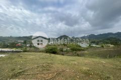 Đất mộc châu đón sóng cao tốc giá siêu rẻ gần mộc châu eco farm