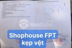 Cặp shophouse sát trường fpt kẹp vệt cây xanh