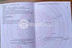 5x41 100mtc sau trường và chợ hội nghĩa giáp vs3