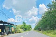 Bán đất đầu tư giá f0 ngay mặt tiền dh708 tân đinh