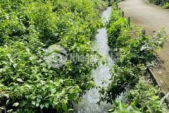 Rẻ rẻ giá rẻ bất ngờ đông dân cư ko có lô thứ 2