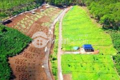 Đất vườn tt lộc thắng view tuyệt đẹp